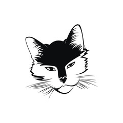 Cat's head against a white background