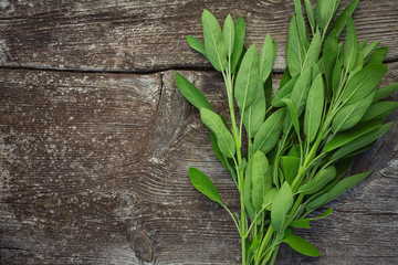 sage on wooden surface