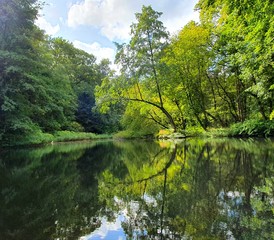 Ein schöner grüner Park
