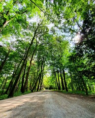 In einem schönem Park