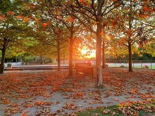 Sonnenschein im Herbst im Park
