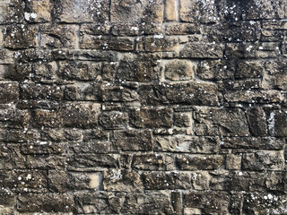 texture of gray old stone wall with white mold. Background. Copy space
