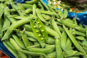 Guisantes ecológicos acabados de coger del huerto