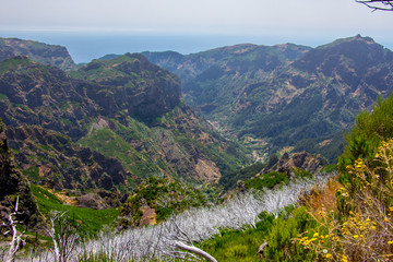 Madeira central mountains landscape ariero hiking burned forest