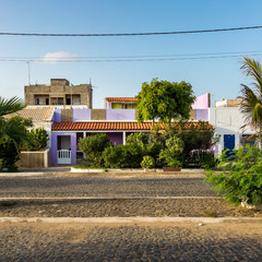 Colorful buildings and palm trees