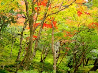 Ginkaku-ji (the Silver Pavilion or Jishō-ji), a Zen temple in the Sakyo ward of Kyoto, Japan. It...