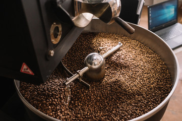 Freshly light roasted arabica coffee beans cooling in a roasters drum with a computer control. - obrazy, fototapety, plakaty