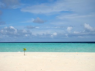 Fototapeta premium A beautiful and romantic white sand beach at the Maldives seen from a luxurious villa. Holidaying in Maldives without seeing a sunset is a bit like going to Paris without seeing the Eiffel Tower.