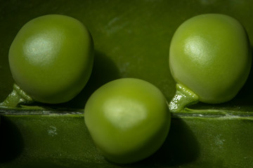 Fotografia macro de una vaina de guisantes, con sus frutos en primer plano
