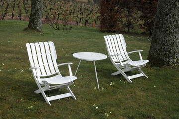 Two white chairs and a table in fall