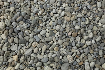 Beach of grey and whites stones
