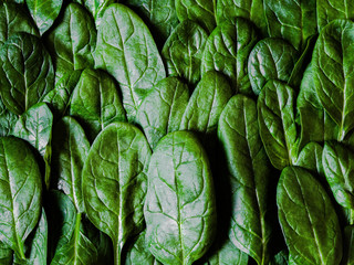 Obraz premium Green fresh spinach background. Natural food background. Top view