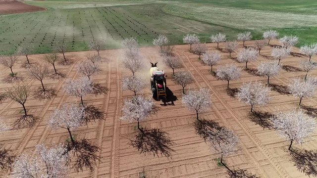 almendras