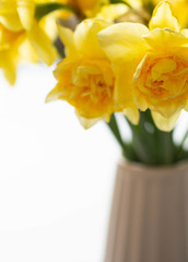 Bouquet of spring flowers in a vase on the table. Daffodil narcissus in vase lifestyle. Copy space