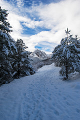Fototapeta premium Pirineos