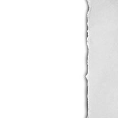 Obraz premium ripped paper isolated on white background with copy space for text