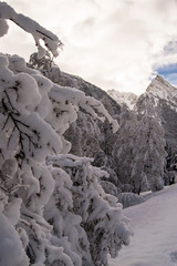 Pirineos