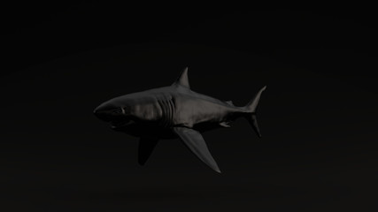 Black Great White Shark Black Background 3d illustration 3d render