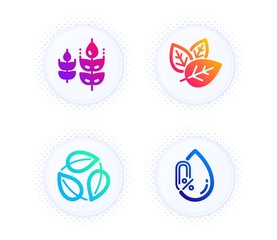Organic tested, Leaves and Gluten free icons simple set. Button with halftone dots. No alcohol sign. Bio ingredients, Nature leaf, Mineral oil. Nature set. Gradient flat organic tested icon. Vector