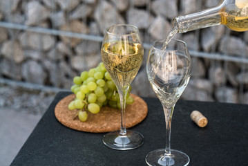 Waiter pouring white wine on outdoor cafe terrace in sunny summer day