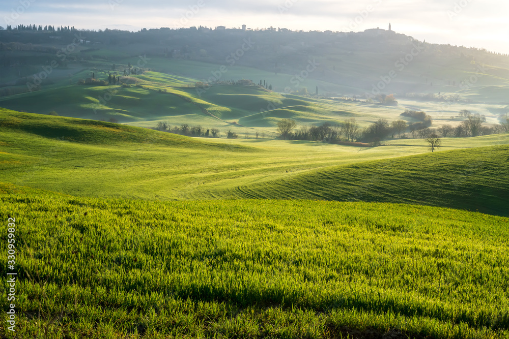 Wall mural amazing spring landscape with green rolling hills and farm houses in the heart of tuscany in morning