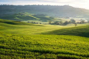 Amazing spring landscape with green rolling hills and farm houses in the heart of Tuscany in morning haze