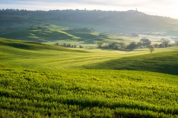 Foto op Plexiglas Landschap Amazing spring landscape with green rolling hills and farm houses in the heart of Tuscany in morning haze