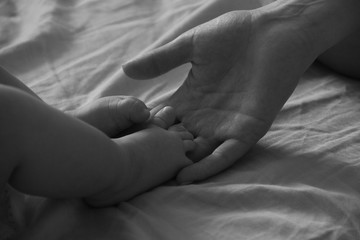  baby feet in mother’s hands