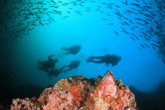 Scuba diving on underwater coral reef with fish 