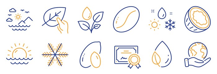 Set of Nature icons, such as Sea mountains, Leaf dew. Certificate, save planet. Coconut, Peanut, Plants watering. Sunset, Weather, Organic tested. Coffee beans, Snowflake line icons. Vector