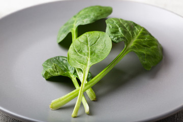 Fresh spinach leaves on a grey plate