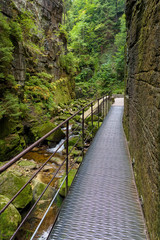 Obraz premium Metal footbridge in the gorge of Kamienczyk river in Poland