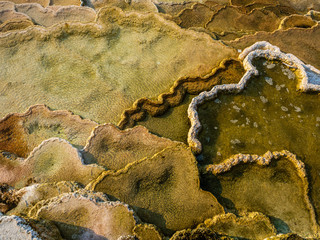 mammoth hot springs yellowstone national park 
