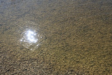 호수공원 수면 풍경