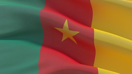 High resolution close-up flag of Cameroon. 3D illustration.