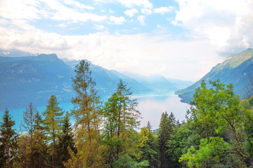 view to lake Brienzersee, trees in the front, cloudy sky