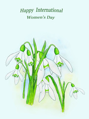 snowdrops card space for text
