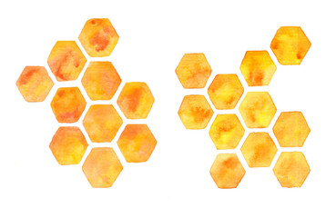 Honeycombs isolated on white background