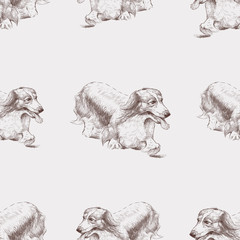 Seamless background of sketches longhair dachshund on a walk