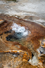 geyser yellowstone national park