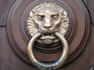 maniglia portone