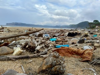 Rubbish in the beach make looks dirty and messy. the pollution because many plastic, wood and others waste.