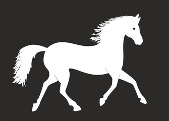 Obraz na płótnie Canvas Vector illustration, Beautiful classic Horse in silhouette black and white, trot, trotting, running.