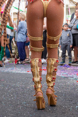 Obraz premium Carnival parade festival participants