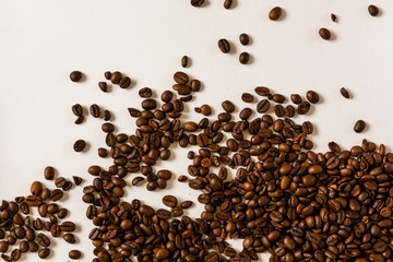 Coffee beans on a white background / Background