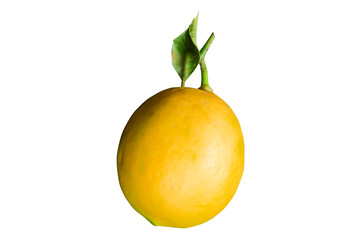 Yellow lemon isolated on a white background. Side view. Close-up.