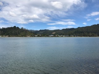 New Zealand, Tairua, Eden