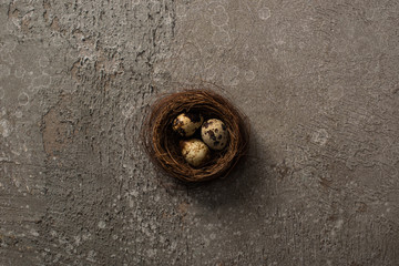 top view of quail eggs in nest on grey textured background
