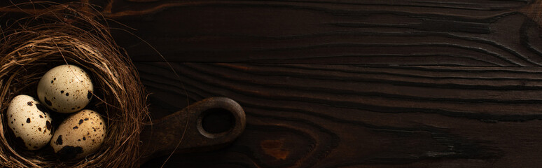 Obraz premium panoramic shot of quail eggs in brown nest on chopping board on dark wooden surface