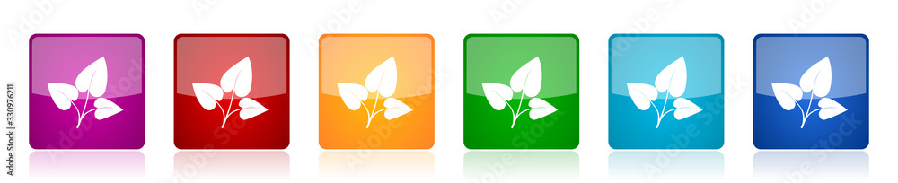 Poster leaf icon set, colorful square glossy vector illustrations in 6 options for web design and mobile ap